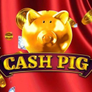 Cash Pig